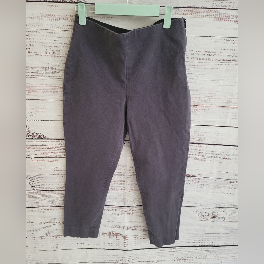 Everlane S10 Side Zip Cropped Blue Pants